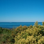 océan atlantique végétation sur la corniche avec vue belharra pays basque